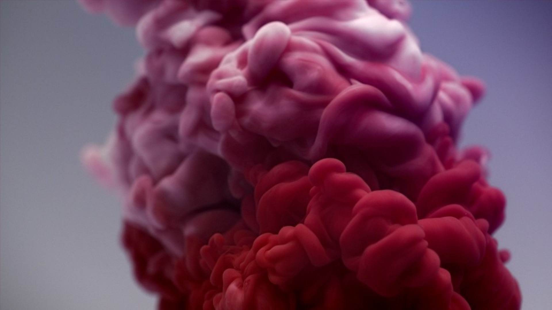 Portada de video Mazda "Color"